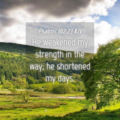Picture 04 - Psalms 102:23 KJV - He weakened my strength in the way; he shortened - Bible Verse Picture