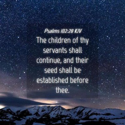 Picture 04 - Psalms 102:28 KJV - The children of thy servants shall continue, and - Bible Verse Picture