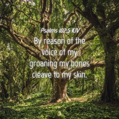 Picture 04 - Psalms 102:5 KJV - By reason of the voice of my groaning my bones - Bible Verse Picture