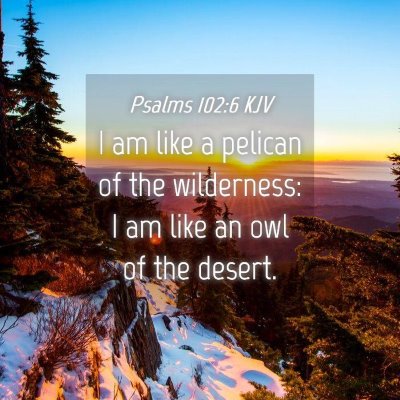 Picture 04 - Psalms 102:6 KJV - I am like a pelican of the wilderness: I am like - Bible Verse Picture