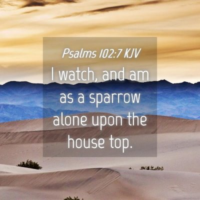 Picture 04 - Psalms 102:7 KJV - I watch, and am as a sparrow alone upon the house - Bible Verse Picture