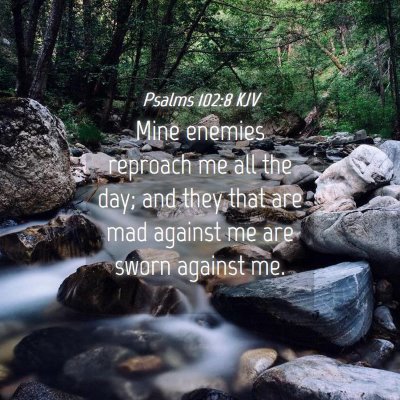 Picture 04 - Psalms 102:8 KJV - Mine enemies reproach me all the day; and they - Bible Verse Picture