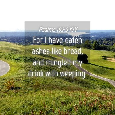 Picture 04 - Psalms 102:9 KJV - For I have eaten ashes like bread, and mingled my - Bible Verse Picture