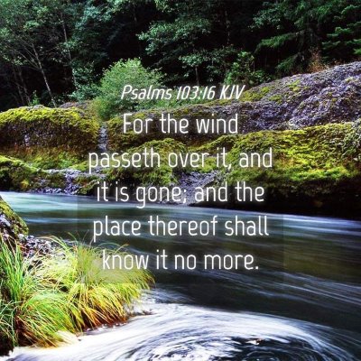 Picture 04 - Psalms 103:16 KJV - For the wind passeth over it, and it is gone; and - Bible Verse Picture