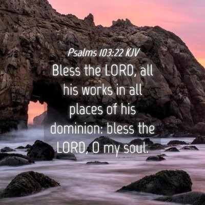Picture 04 - Psalms 103:22 KJV - Bless the LORD, all his works in all places of - Bible Verse Picture