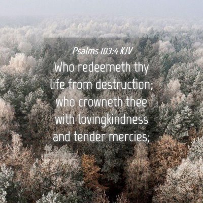 Picture 04 - Psalms 103:4 KJV - Who redeemeth thy life from destruction; who - Bible Verse Picture