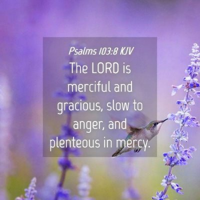 Picture 04 - Psalms 103:8 KJV - The LORD is merciful and gracious, slow to anger, - Bible Verse Picture