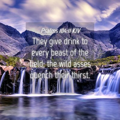 Picture 04 - Psalms 104:11 KJV - They give drink to every beast of the field: the - Bible Verse Picture