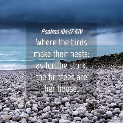 Picture 04 - Psalms 104:17 KJV - Where the birds make their nests: as for the - Bible Verse Picture