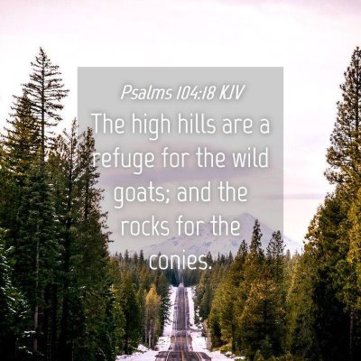 Picture 04 - Psalms 104:18 KJV - The high hills are a refuge for the wild goats; - Bible Verse Picture