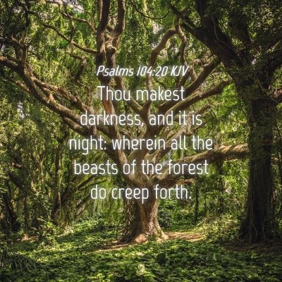 Picture 04 - Psalms 104:20 KJV - Thou makest darkness, and it is night: wherein - Bible Verse Picture
