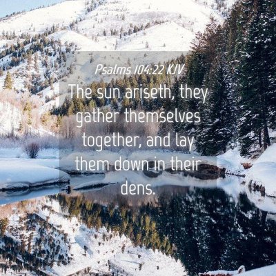 Picture 04 - Psalms 104:22 KJV - The sun ariseth, they gather themselves together, - Bible Verse Picture