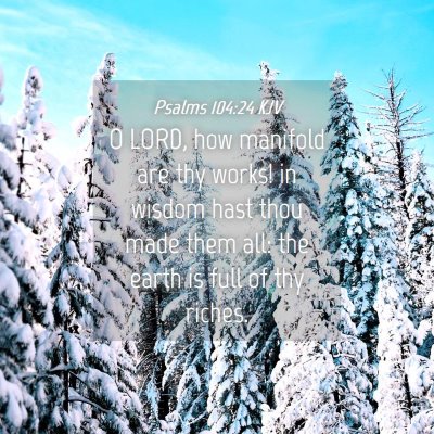 Picture 04 - Psalms 104:24 KJV - O LORD, how manifold are thy works! in wisdom - Bible Verse Picture