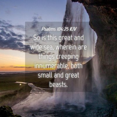 Picture 04 - Psalms 104:25 KJV - So is this great and wide sea, wherein are things - Bible Verse Picture