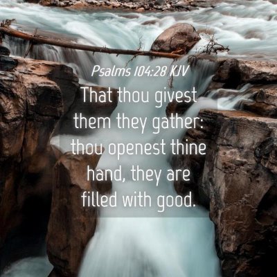 Picture 04 - Psalms 104:28 KJV - That thou givest them they gather: thou openest - Bible Verse Picture