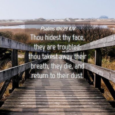 Picture 04 - Psalms 104:29 KJV - Thou hidest thy face, they are troubled: thou - Bible Verse Picture