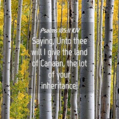Picture 04 - Psalms 105:11 KJV - Saying, Unto thee will I give the land of Canaan, - Bible Verse Picture