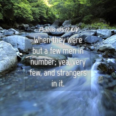 Picture 04 - Psalms 105:12 KJV - When they were but a few men in number; yea, very - Bible Verse Picture