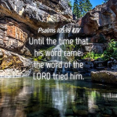 Picture 04 - Psalms 105:19 KJV - Until the time that his word came: the word of - Bible Verse Picture