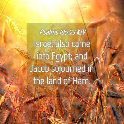 Picture 04 - Psalms 105:23 KJV - Israel also came into Egypt; and Jacob sojourned - Bible Verse Picture