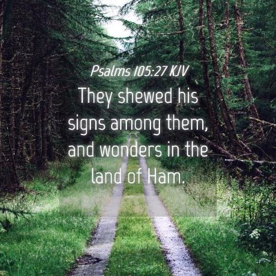 Picture 04 - Psalms 105:27 KJV - They shewed his signs among them, and wonders in - Bible Verse Picture