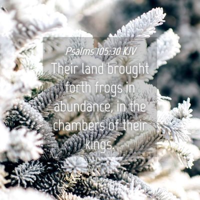 Picture 04 - Psalms 105:30 KJV - Their land brought forth frogs in abundance, in - Bible Verse Picture