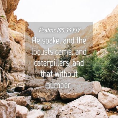 Picture 04 - Psalms 105:34 KJV - He spake, and the locusts came, and caterpillers, - Bible Verse Picture