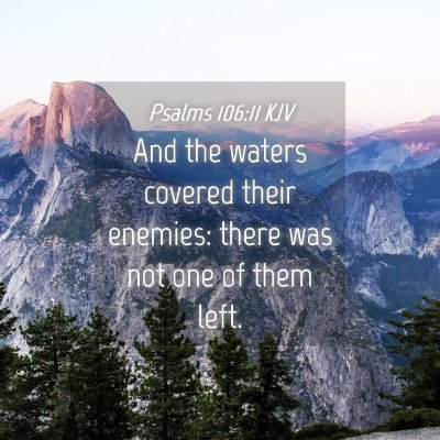 Picture 04 - Psalms 106:11 KJV - And the waters covered their enemies: there was - Bible Verse Picture