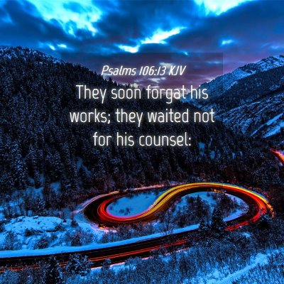 Picture 04 - Psalms 106:13 KJV - They soon forgat his works; they waited not for - Bible Verse Picture