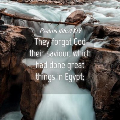 Picture 04 - Psalms 106:21 KJV - They forgat God their saviour, which had done - Bible Verse Picture