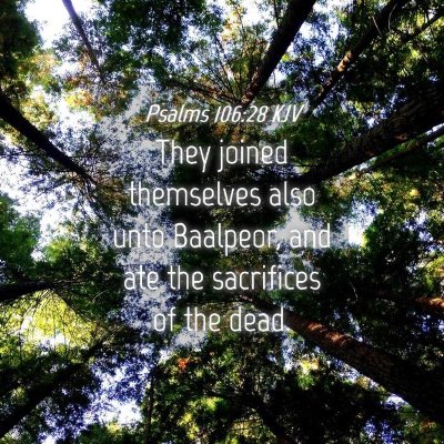 Picture 04 - Psalms 106:28 KJV - They joined themselves also unto Baalpeor, and - Bible Verse Picture