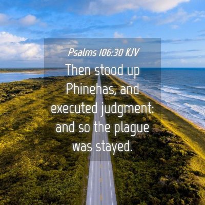 Picture 04 - Psalms 106:30 KJV - Then stood up Phinehas, and executed judgment: - Bible Verse Picture