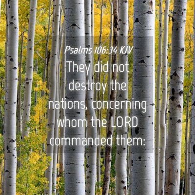 Picture 04 - Psalms 106:34 KJV - They did not destroy the nations, concerning whom - Bible Verse Picture