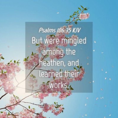 Picture 04 - Psalms 106:35 KJV - But were mingled among the heathen, and learned - Bible Verse Picture