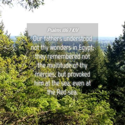 Picture 04 - Psalms 106:7 KJV - Our fathers understood not thy wonders in Egypt; - Bible Verse Picture
