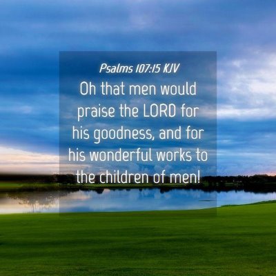 Picture 04 - Psalms 107:15 KJV - Oh that men would praise the LORD for his - Bible Verse Picture
