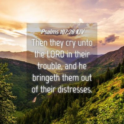 Picture 04 - Psalms 107:28 KJV - Then they cry unto the LORD in their trouble, and - Bible Verse Picture