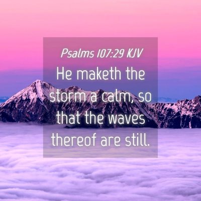 Picture 04 - Psalms 107:29 KJV - He maketh the storm a calm, so that the waves - Bible Verse Picture