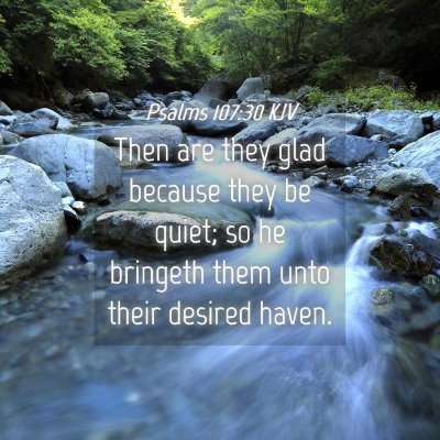 Picture 04 - Psalms 107:30 KJV - Then are they glad because they be quiet; so he - Bible Verse Picture