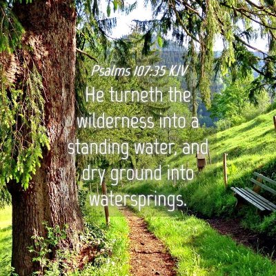 Picture 04 - Psalms 107:35 KJV - He turneth the wilderness into a standing water, - Bible Verse Picture