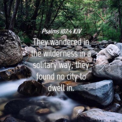 Picture 04 - Psalms 107:4 KJV - They wandered in the wilderness in a solitary - Bible Verse Picture