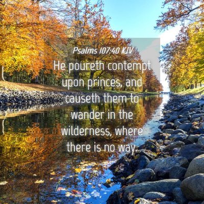 Picture 04 - Psalms 107:40 KJV - He poureth contempt upon princes, and causeth - Bible Verse Picture
