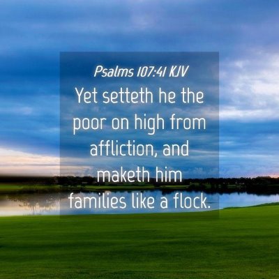 Picture 04 - Psalms 107:41 KJV - Yet setteth he the poor on high from affliction, - Bible Verse Picture