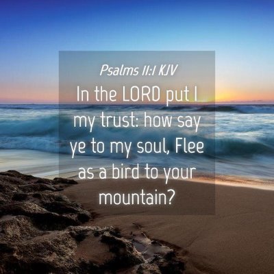 Picture 04 - Psalms 11:1 KJV - In the LORD put I my trust: how say ye to my - Bible Verse Picture