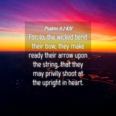 Picture 04 - Psalms 11:2 KJV - For, lo, the wicked bend their bow, they make - Bible Verse Picture