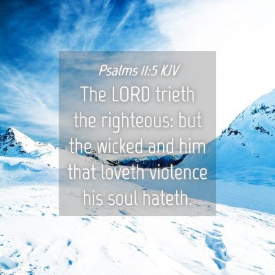Picture 04 - Psalms 11:5 KJV - The LORD trieth the righteous: but the wicked and - Bible Verse Picture