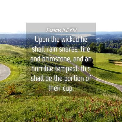 Picture 04 - Psalms 11:6 KJV - Upon the wicked he shall rain snares, fire and - Bible Verse Picture