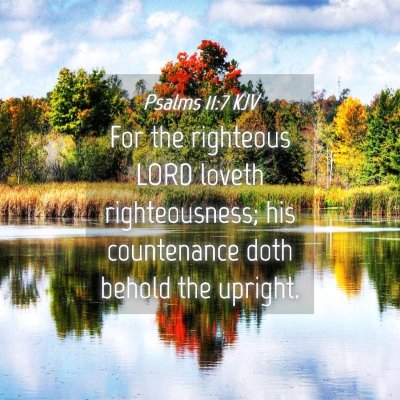 Picture 04 - Psalms 11:7 KJV - For the righteous LORD loveth righteousness; his - Bible Verse Picture