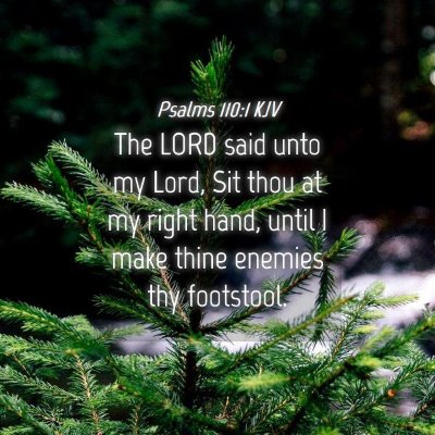 Picture 04 - Psalms 110:1 KJV - The LORD said unto my Lord, Sit thou at my right - Bible Verse Picture