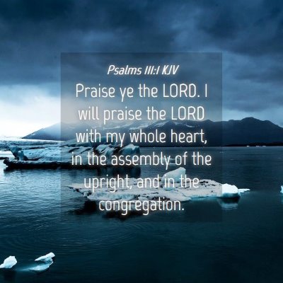 Picture 04 - Psalms 111:1 KJV - Praise ye the LORD. I will praise the LORD with - Bible Verse Picture
